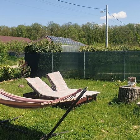 Forest Relax Near Oradea -Pet Friendly Les ภายนอก รูปภาพ