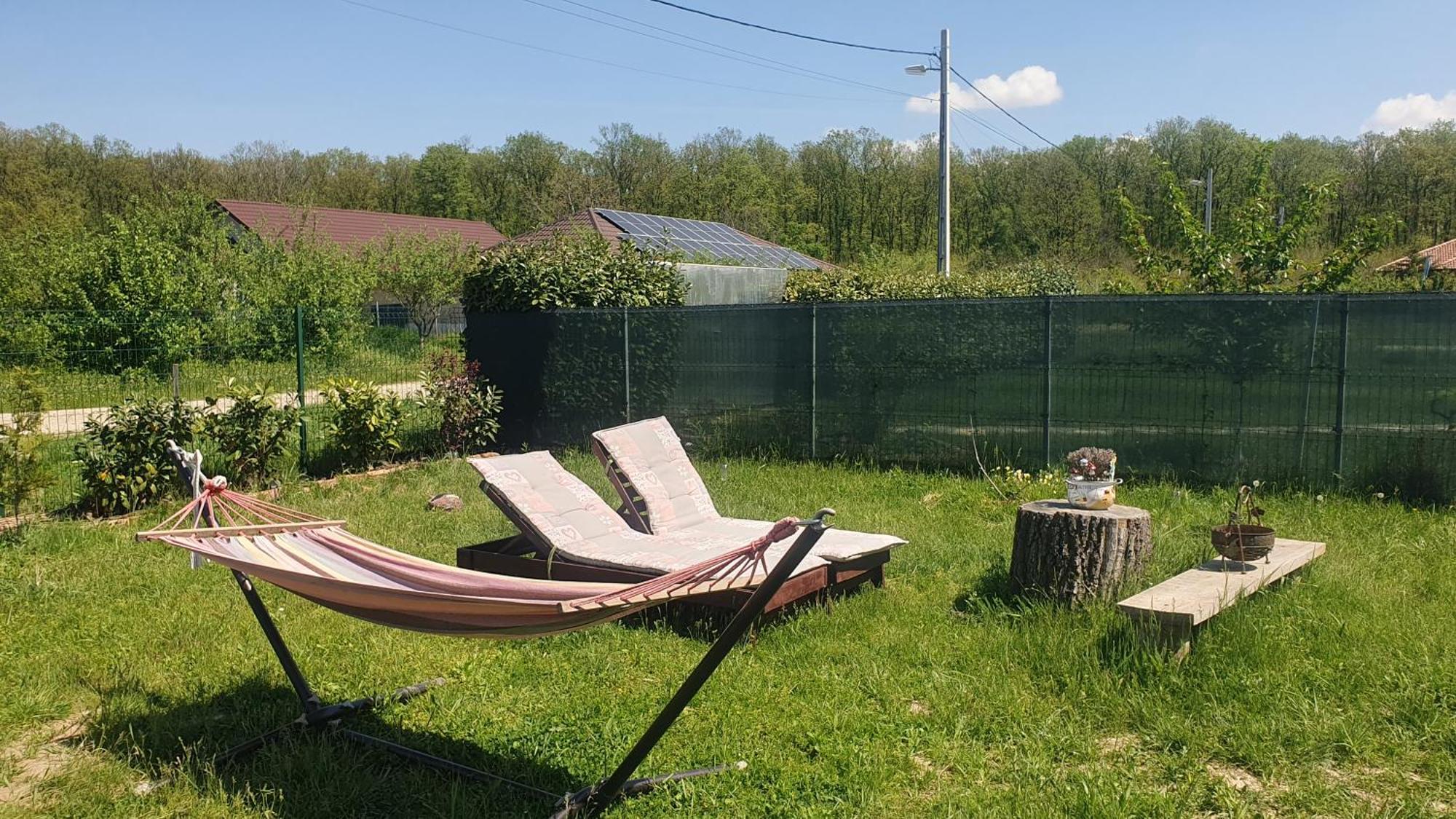 Forest Relax Near Oradea -Pet Friendly Les ภายนอก รูปภาพ